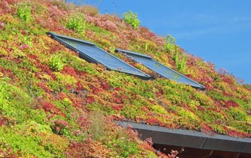 Rawdon living roof systems